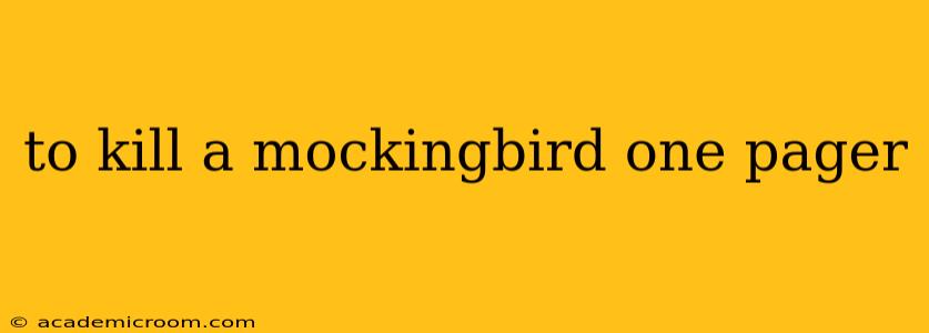 to kill a mockingbird one pager