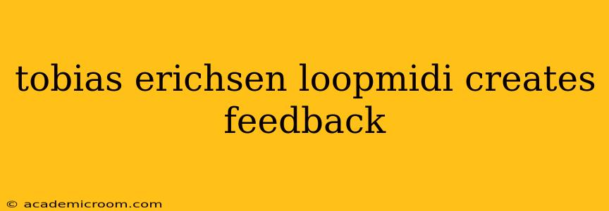 tobias erichsen loopmidi creates feedback