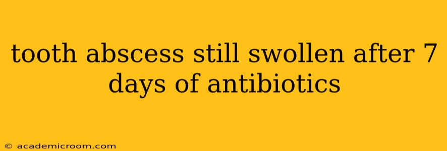 tooth abscess still swollen after 7 days of antibiotics