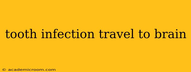 tooth infection travel to brain