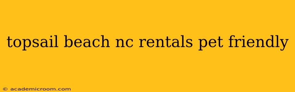 topsail beach nc rentals pet friendly