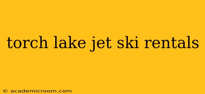 torch lake jet ski rentals