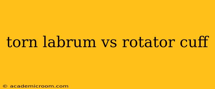 torn labrum vs rotator cuff