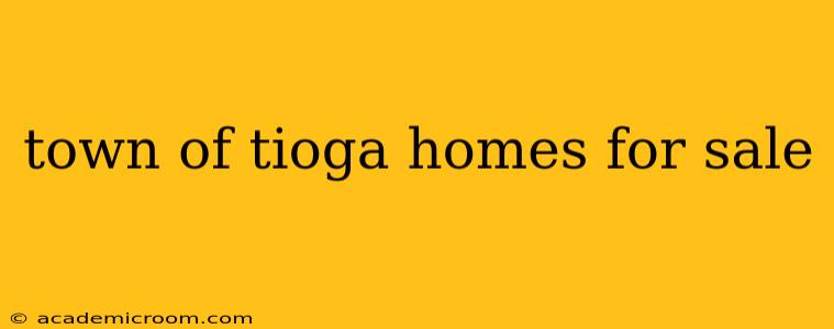 town of tioga homes for sale