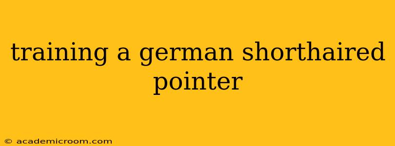 training a german shorthaired pointer