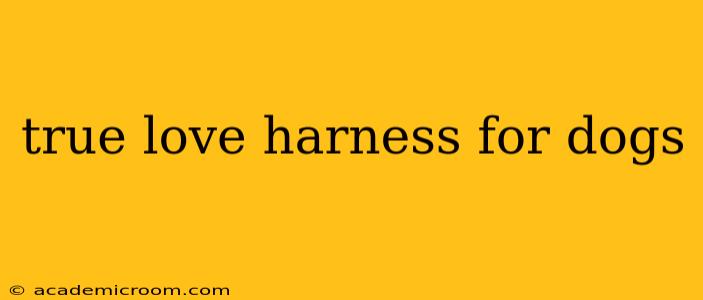 true love harness for dogs