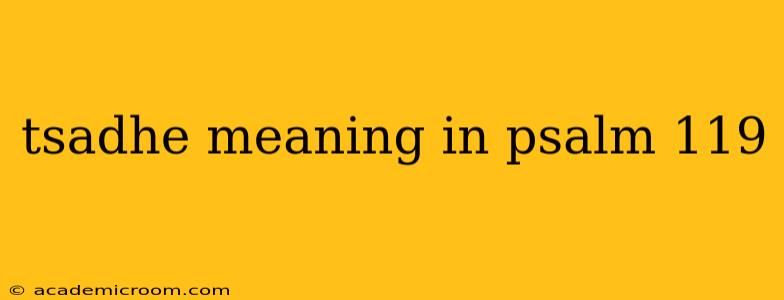 tsadhe meaning in psalm 119