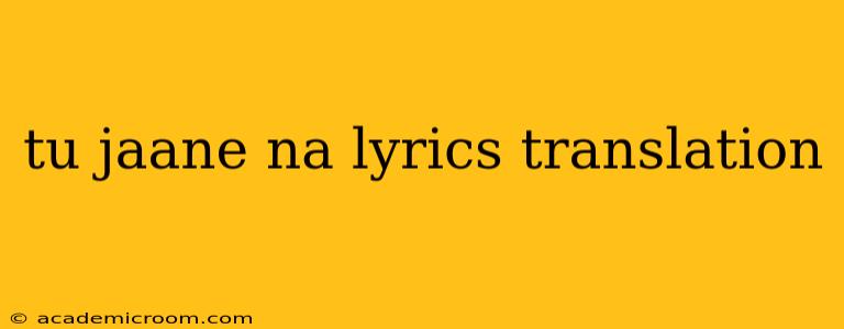 tu jaane na lyrics translation