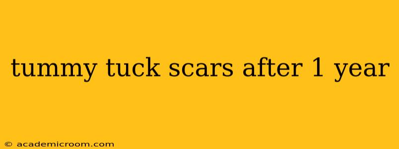 tummy tuck scars after 1 year