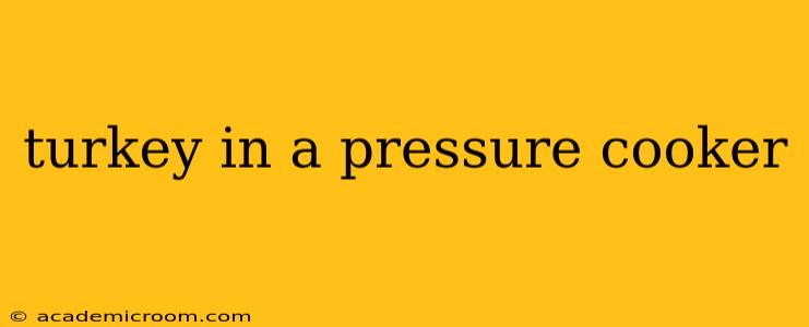turkey in a pressure cooker