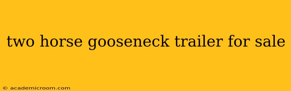 two horse gooseneck trailer for sale
