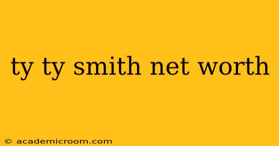 ty ty smith net worth