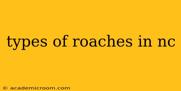 types of roaches in nc