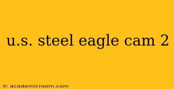 u.s. steel eagle cam 2