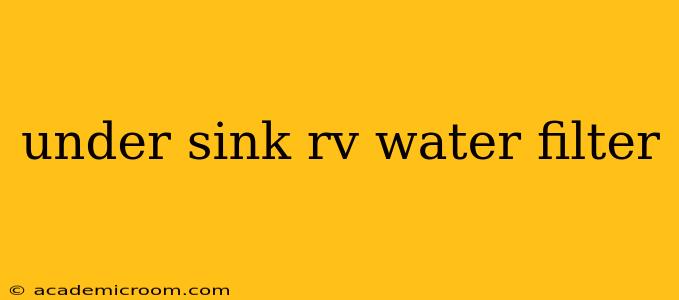 under sink rv water filter