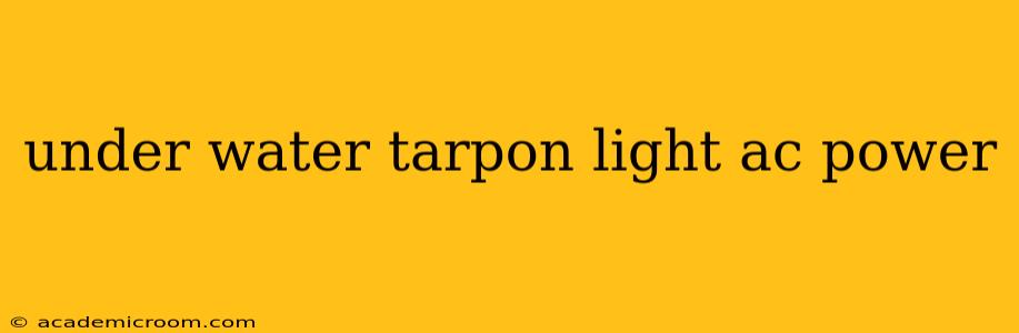 under water tarpon light ac power
