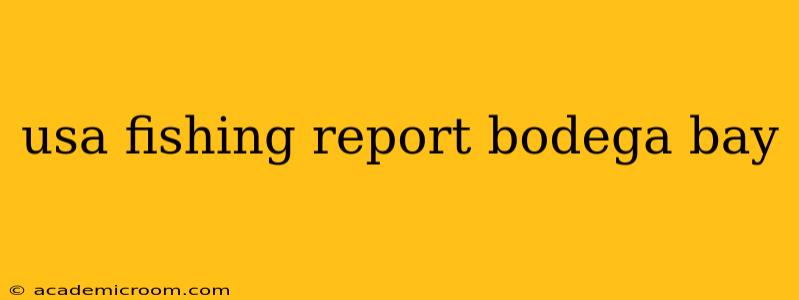 usa fishing report bodega bay