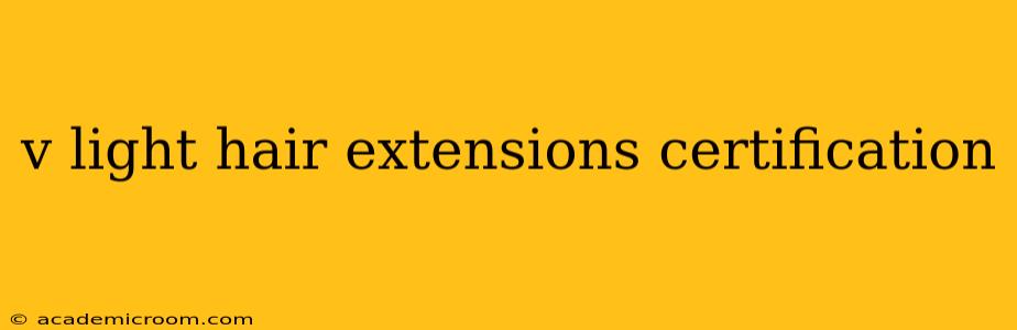 v light hair extensions certification