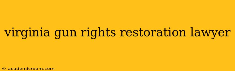 virginia gun rights restoration lawyer