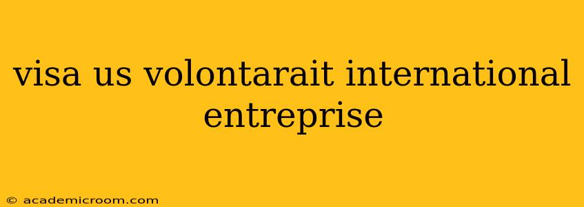 visa us volontarait international entreprise