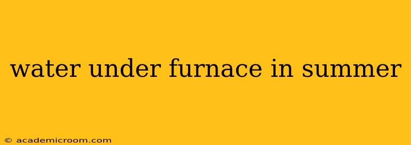 water under furnace in summer
