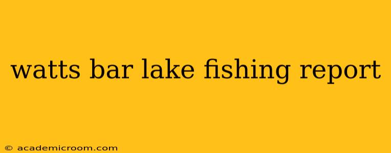 watts bar lake fishing report