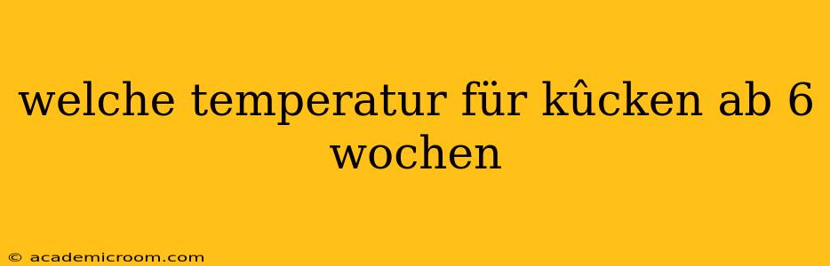 welche temperatur für kûcken ab 6 wochen