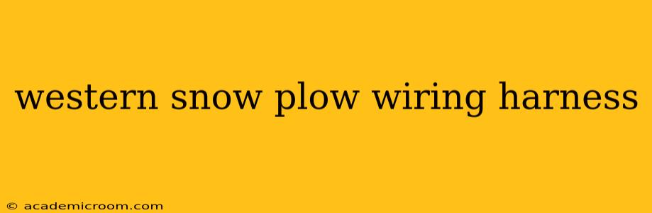 western snow plow wiring harness