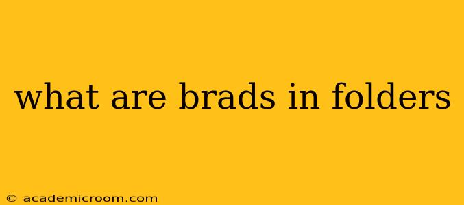 what are brads in folders