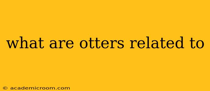 what are otters related to