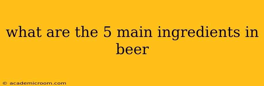 what are the 5 main ingredients in beer