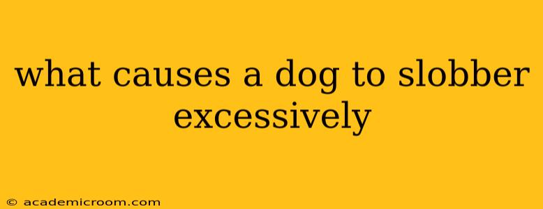 what causes a dog to slobber excessively