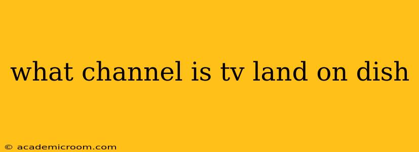 what channel is tv land on dish
