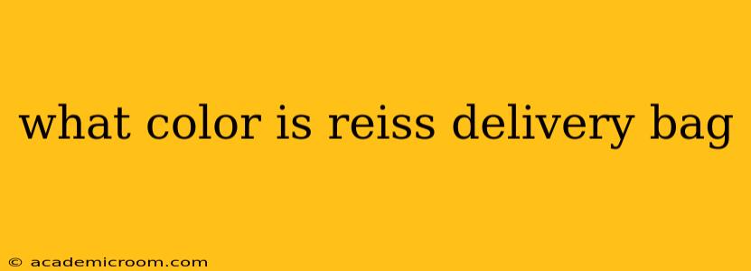 what color is reiss delivery bag