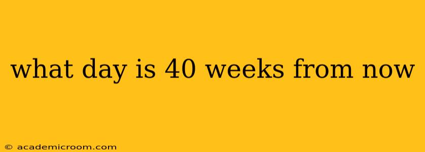 what day is 40 weeks from now
