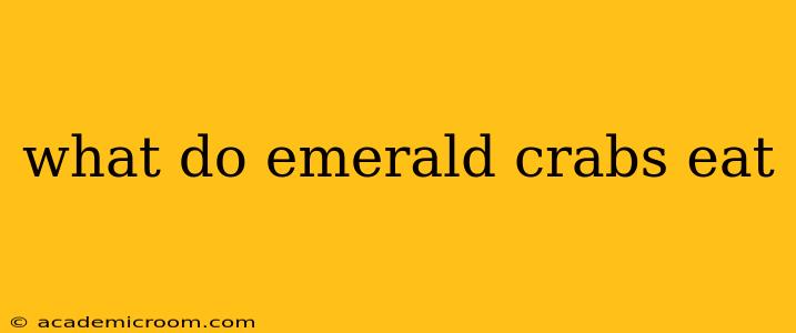 what do emerald crabs eat