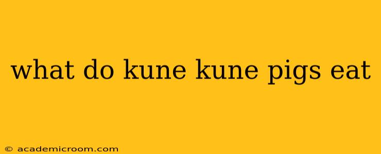 what do kune kune pigs eat