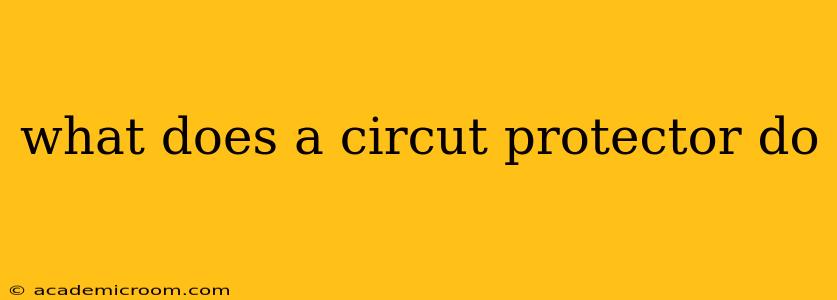 what does a circut protector do