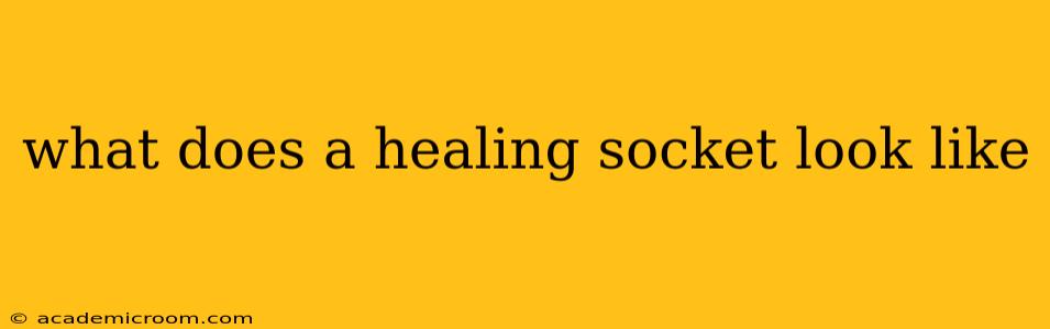 what does a healing socket look like