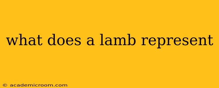what does a lamb represent