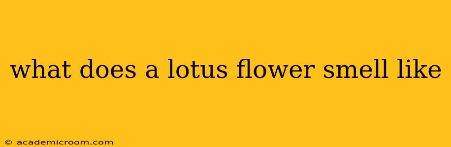 what does a lotus flower smell like