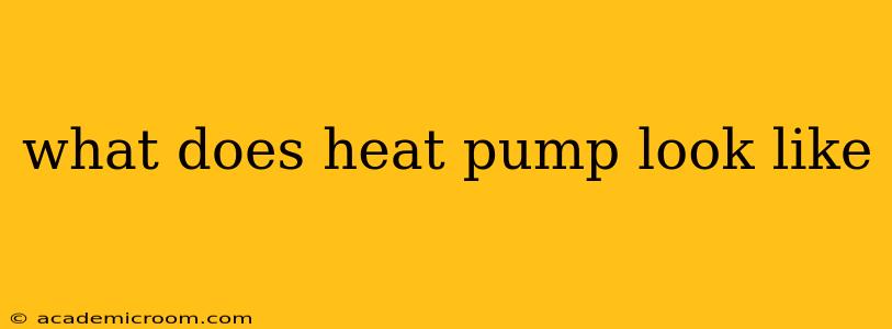 what does heat pump look like