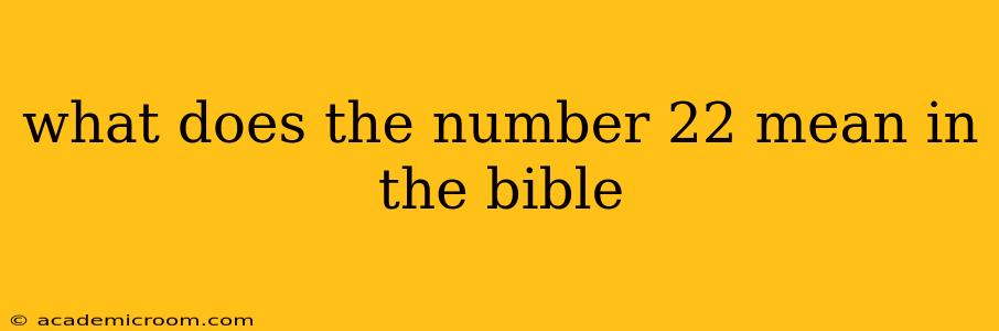 what does the number 22 mean in the bible