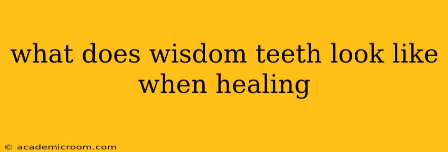 what does wisdom teeth look like when healing