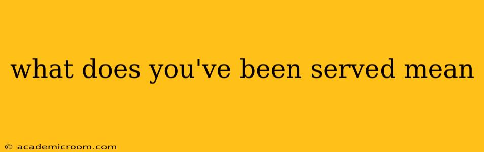 what does you've been served mean