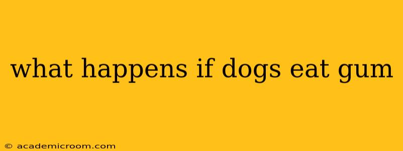 what happens if dogs eat gum
