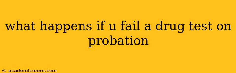 what happens if u fail a drug test on probation