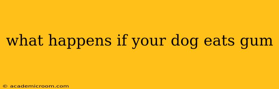 what happens if your dog eats gum