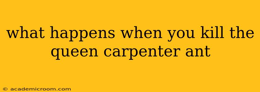 what happens when you kill the queen carpenter ant