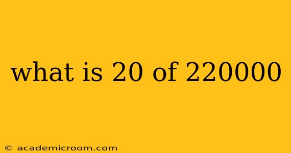what is 20 of 220000